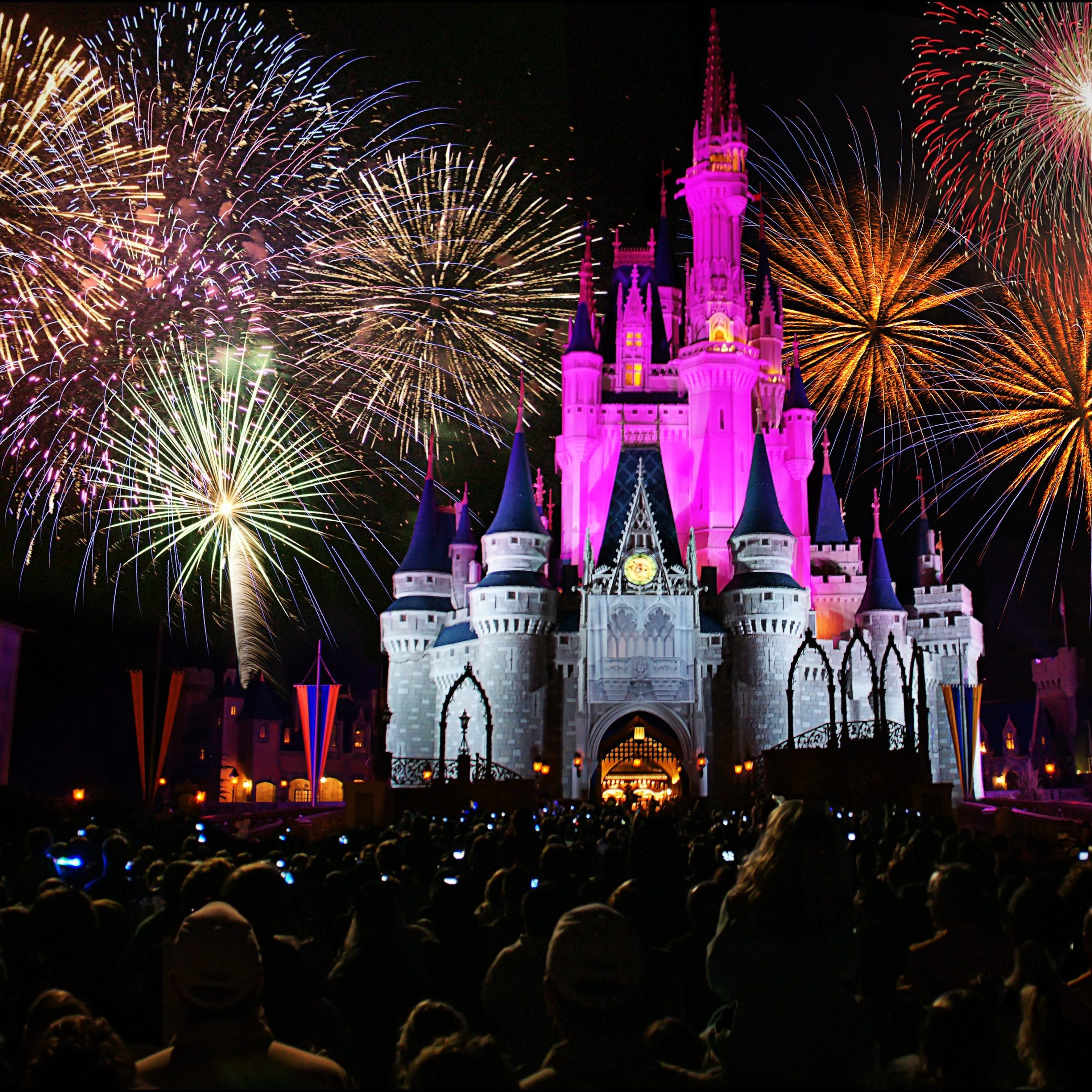 Disney World Orlando Florida Calling 2024 / 2025